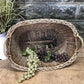 Basket - Oval Wicker Basket, Vintage German Woven Rattan Basket, Storage Organizer A16, by The Old Grainery (Adults, Any R...