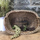 Basket - Oval Wicker Basket, Vintage German Woven Rattan Basket, Storage Organizer A16, by The Old Grainery (Adults, Any R...