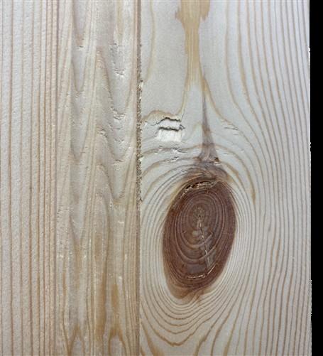 French Double Doors (32x96) Raised Panel Doors, European Styled Doors NM10A