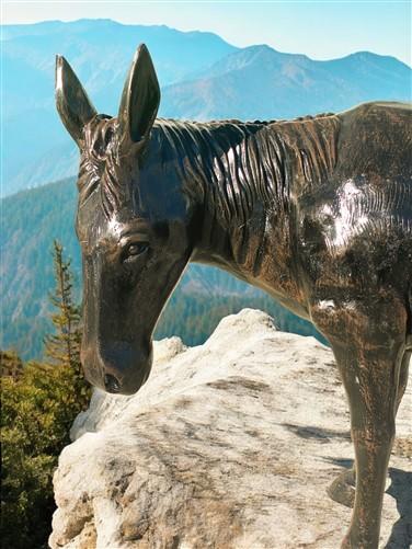 Donkey - Donkey Statue, Mule Sculpture, Life Size Burro, Cast Aluminum by The Old Grainery (aluminum, brown, cast aluminum)