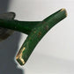 Early Metal Fly Fishing Rod & Reel, Vintage Sport Fishing Equipment Tackle,