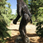 Dinosaur - Big Foot Sasquatch Statue, 93" Life Size Outdoor Yard Art, Cast Aluminum by The Old Grainery (aluminum, Big Foo...
