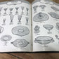 Catalog - 1960 Fostoria Glass Company Fine Table Glassware Catalogue catalog by The Old Grainery (1960, Catalog, catalogue)