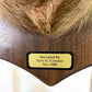 Whitetail Deer Mount - 13 Point Drop Tine Antler, Whitetail Deer, Buck Shoulder Mount, Wall Taxidermy by The Old Grainery...