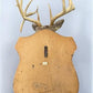 Whitetail Deer Mount - 13 Point Drop Tine Antler, Whitetail Deer, Buck Shoulder Mount, Wall Taxidermy by The Old Grainery...