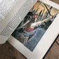1971 Nobel Prize Library 11 Vol Illustrated, Nobel Foundation Swedish Academy