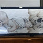 Charles Twelvetrees The Five Senses Illustration Art 1917, Vintage Baby Art