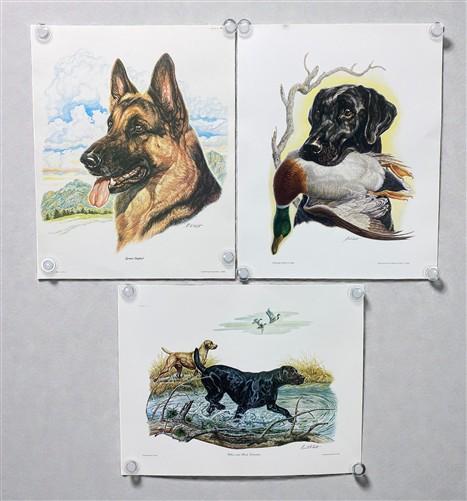 Art & Collectibles > Prints > Lithographs - Ernest Hart 3 Signed Dog Prints, 16x20, Labrador, Shepherd, Wade Collection by...