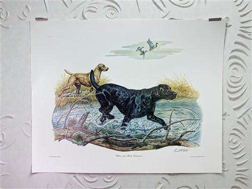 Art & Collectibles > Prints > Lithographs - Ernest Hart 3 Signed Dog Prints, 16x20, Labrador, Shepherd, Wade Collection by...
