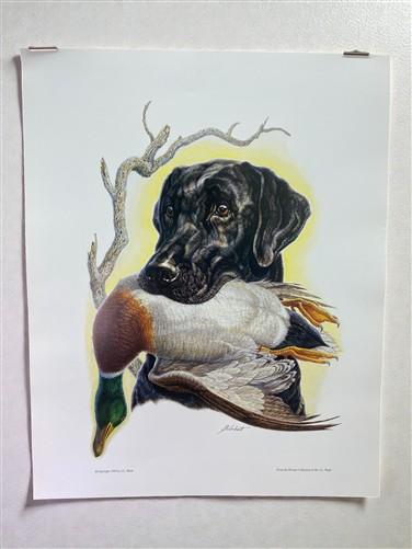 Art & Collectibles > Prints > Lithographs - Ernest Hart 3 Signed Dog Prints, 16x20, Labrador, Shepherd, Wade Collection by...
