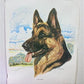 Art & Collectibles > Prints > Lithographs - Ernest Hart 3 Signed Dog Prints, 16x20, Labrador, Shepherd, Wade Collection by...