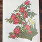 Art & Collectibles > Prints > Lithographs - 4 Maryrose Wampler Signed Prints, 11x14, Daisy Mum, Goldenrod, Camellia, Lilie...