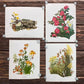 Art & Collectibles > Prints > Lithographs - 4 Maryrose Wampler Signed Prints, 11x14, Daisy Mum, Goldenrod, Camellia, Lilie...