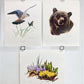 Art & Collectibles > Prints > Lithographs - 3 Art Prints (8x10) Grizzly Bear, American Kestrel, Crocus, Signed Prints by T...