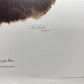 Art & Collectibles > Prints > Lithographs - 3 Art Prints (8x10) Grizzly Bear, American Kestrel, Crocus, Signed Prints by T...