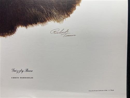 Art & Collectibles > Prints > Lithographs - 3 Art Prints (8x10) Grizzly Bear, American Kestrel, Crocus, Signed Prints by T...