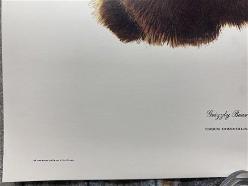 Art & Collectibles > Prints > Lithographs - 3 Art Prints (8x10) Grizzly Bear, American Kestrel, Crocus, Signed Prints by T...