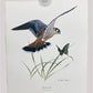 Art & Collectibles > Prints > Lithographs - 3 Art Prints (8x10) Grizzly Bear, American Kestrel, Crocus, Signed Prints by T...
