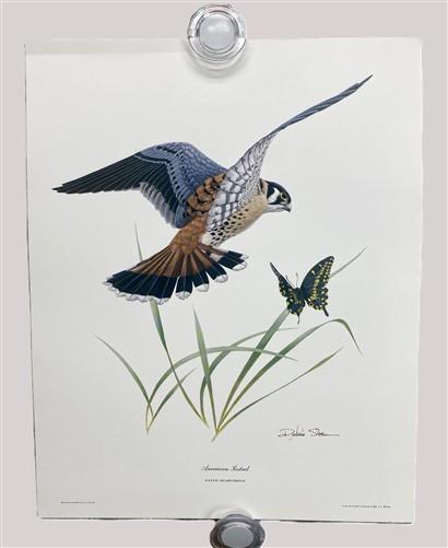 Art & Collectibles > Prints > Lithographs - 3 Art Prints (8x10) Grizzly Bear, American Kestrel, Crocus, Signed Prints by T...