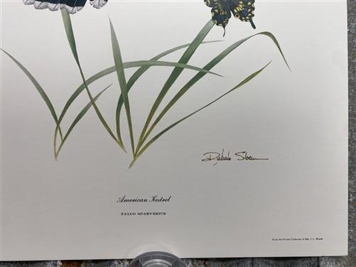 Art & Collectibles > Prints > Lithographs - 3 Art Prints (8x10) Grizzly Bear, American Kestrel, Crocus, Signed Prints by T...