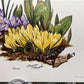 Art & Collectibles > Prints > Lithographs - 3 Art Prints (8x10) Grizzly Bear, American Kestrel, Crocus, Signed Prints by T...