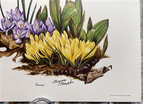 Art & Collectibles > Prints > Lithographs - 3 Art Prints (8x10) Grizzly Bear, American Kestrel, Crocus, Signed Prints by T...