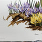 Art & Collectibles > Prints > Lithographs - 3 Art Prints (8x10) Grizzly Bear, American Kestrel, Crocus, Signed Prints by T...