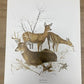 Art & Collectibles > Prints > Lithographs - 7 Richard Timm Wildlife Signed Prints, 11x14, Bear Deer Buffalo Fox, Cabin Déc...
