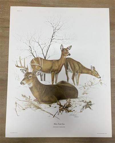 Art & Collectibles > Prints > Lithographs - 7 Richard Timm Wildlife Signed Prints, 11x14, Bear Deer Buffalo Fox, Cabin Déc...