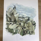 Art & Collectibles > Prints > Lithographs - 7 Richard Timm Wildlife Signed Prints, 11x14, Bear Deer Buffalo Fox, Cabin Déc...