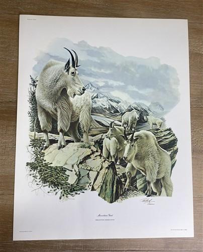 Art & Collectibles > Prints > Lithographs - 7 Richard Timm Wildlife Signed Prints, 11x14, Bear Deer Buffalo Fox, Cabin Déc...