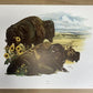 Art & Collectibles > Prints > Lithographs - 7 Richard Timm Wildlife Signed Prints, 11x14, Bear Deer Buffalo Fox, Cabin Déc...