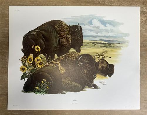 Art & Collectibles > Prints > Lithographs - 7 Richard Timm Wildlife Signed Prints, 11x14, Bear Deer Buffalo Fox, Cabin Déc...