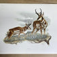 Art & Collectibles > Prints > Lithographs - 7 Richard Timm Wildlife Signed Prints, 11x14, Bear Deer Buffalo Fox, Cabin Déc...