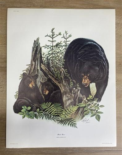 Art & Collectibles > Prints > Lithographs - 7 Richard Timm Wildlife Signed Prints, 11x14, Bear Deer Buffalo Fox, Cabin Déc...