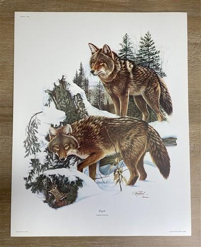 Art & Collectibles > Prints > Lithographs - 7 Richard Timm Wildlife Signed Prints, 11x14, Bear Deer Buffalo Fox, Cabin Déc...