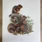 Art & Collectibles > Prints > Lithographs - 7 Richard Timm Wildlife Signed Prints, 11x14, Bear Deer Buffalo Fox, Cabin Déc...