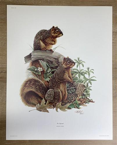 Art & Collectibles > Prints > Lithographs - 7 Richard Timm Wildlife Signed Prints, 11x14, Bear Deer Buffalo Fox, Cabin Déc...