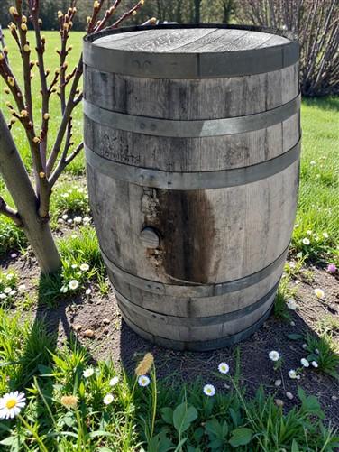 Whiskey Wine Barrel, Vintage Reclaimed Used Wood Barrel, Primitive Rum Keg, H