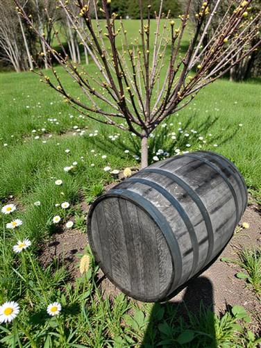 Whiskey Wine Barrel, Vintage Reclaimed Used Wood Barrel, Primitive Rum Keg, H