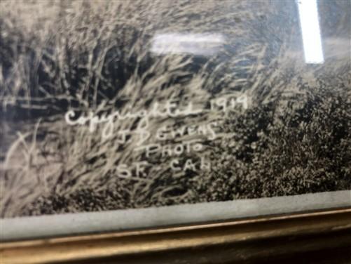 San Francisco Palace of Fine Arts Framed, Vintage Yardlong Wood Picture Frame