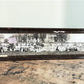 yardlong photo - 1915 Sciota IL Township School Picnic Historical Photo, Antique Yardlong Photo B by The Old Grainery (191...