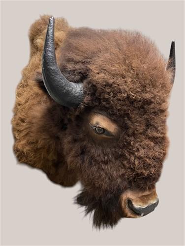 Buffalo Mount - Vintage Bison Buffalo Taxidermy Mount Wall Hanging, Western Lodge Cabin Decor by The Old Grainery (bison h...