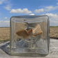 Butter churn - Dazey No 60 Hand Crank Butter Churn, Vintage Tabletop Glass Churn Wood Paddle by The Old Grainery (15 in, B...
