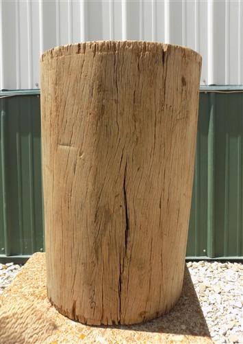 umbrella stand - Rustic Hollow Stump Cane Holder Umbrella Stand, Farmhouse Natural Wood Log A by The Old Grainery (18 inch...