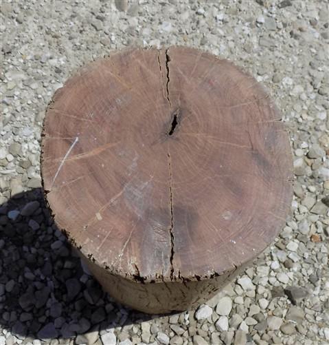 umbrella stand - Rustic Hollow Stump Cane Holder Umbrella Stand, Farmhouse Natural Wood Log A by The Old Grainery (18 inch...