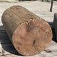 umbrella stand - Rustic Hollow Stump Cane Holder Umbrella Stand, Farmhouse Natural Wood Log A by The Old Grainery (18 inch...