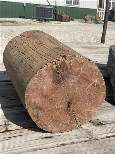 umbrella stand - Rustic Hollow Stump Cane Holder Umbrella Stand, Farmhouse Natural Wood Log A by The Old Grainery (18 inch...