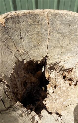 Rustic Carved Wood Planter, Wood Stump, Round Wooden Flower Pot, Natural Wood O