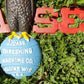 Case Implement Eagle Emblem, Painted Cast Iron Advertising Sign, Farm Machine